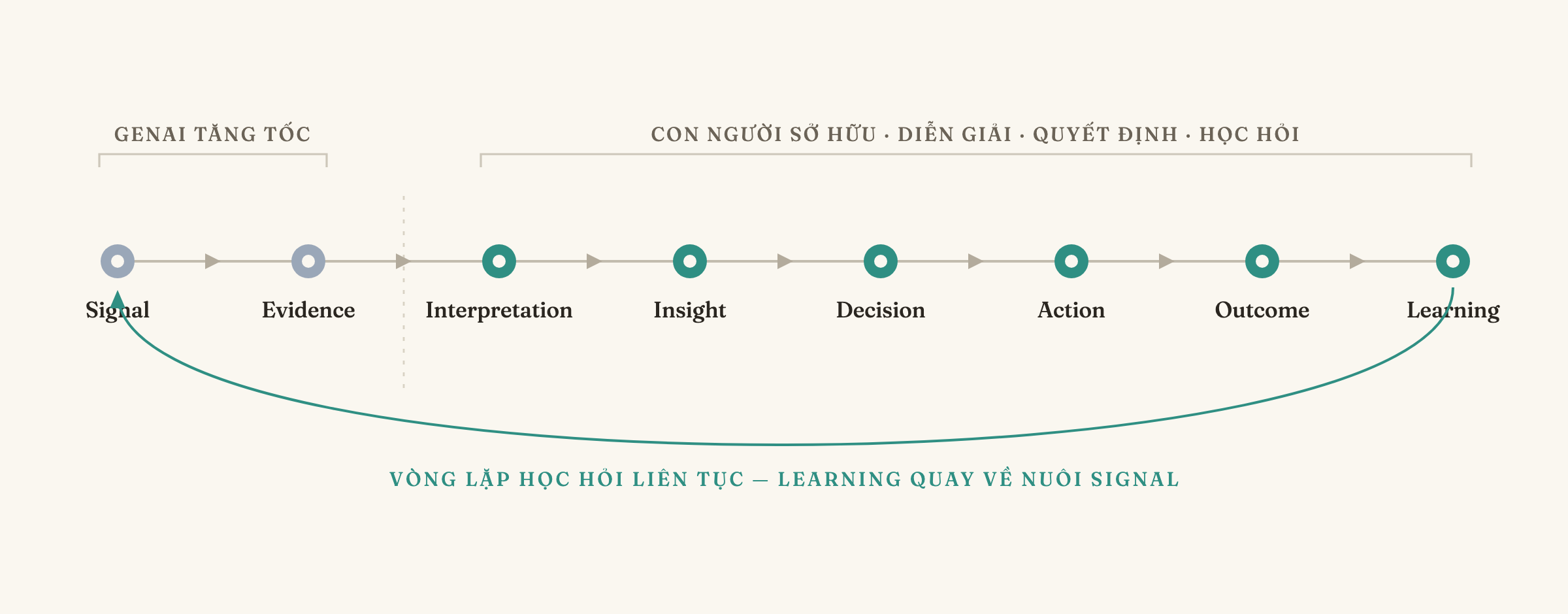Chuỗi vòng lặp Signal → Evidence → Interpretation → Insight → Decision → Action → Outcome → Learning: GenAI tăng tốc hai bước đầu, con người sở hữu sáu bước sau, và Learning quay về nuôi Signal